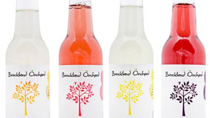 Limonades met aparte smaakjes Limonades met aparte smaakjes