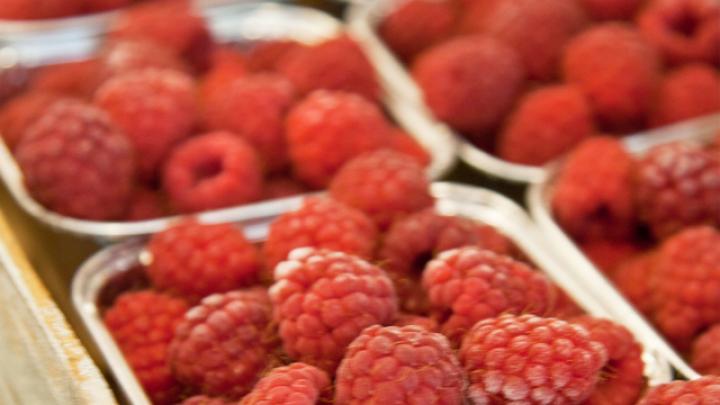 La framboise, un fruit d’été plein d’atouts La framboise, un fruit d’été plein d’atouts