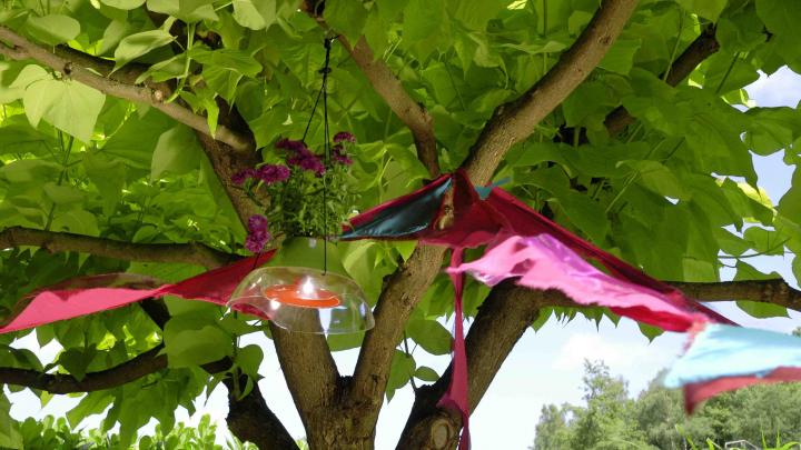 Quelles plantes pour la terrasse? Quelles plantes pour la terrasse?