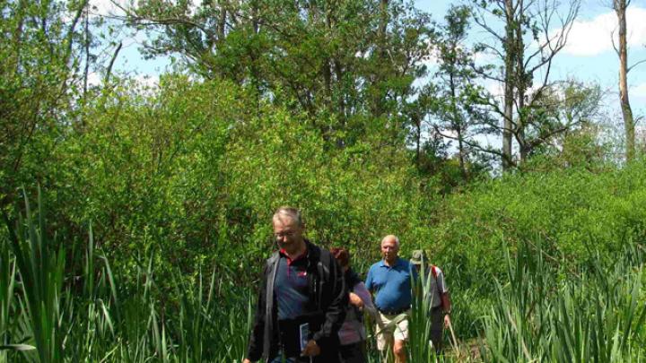 Tip voor zondagtrip: Schepswandeling in Balen Tip voor zondagtrip: Schepswandeling in Balen