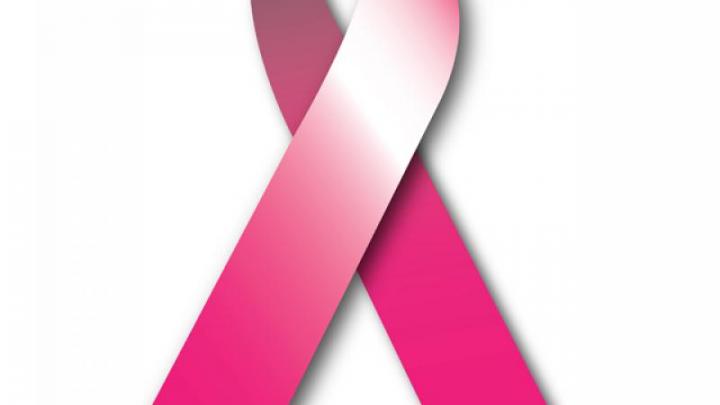 Lunch et défilé de mode au profit de la lutte contre le cancer du sein Lunch et défilé de mode au profit de la lutte contre le cancer du sein