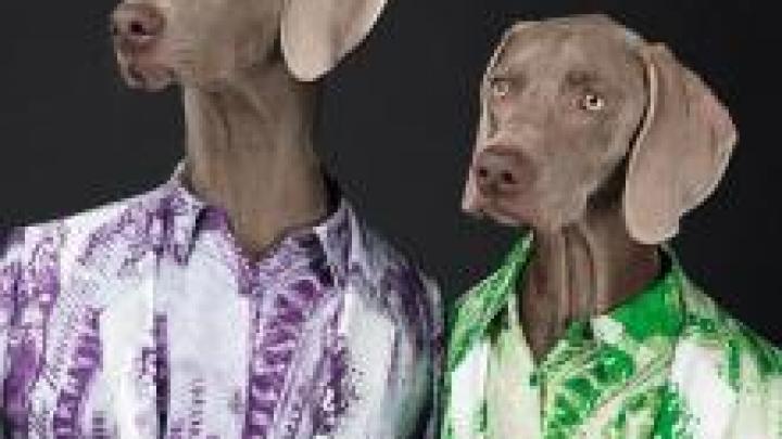Acne kiest voor honden als model Acne kiest voor honden als model