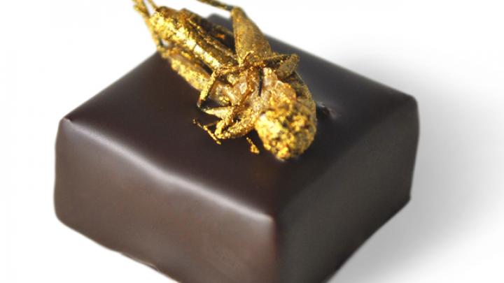 Cadeautip Moederdag: Geen praliné, maar beestjes! Cadeautip Moederdag: Geen praliné, maar beestjes!