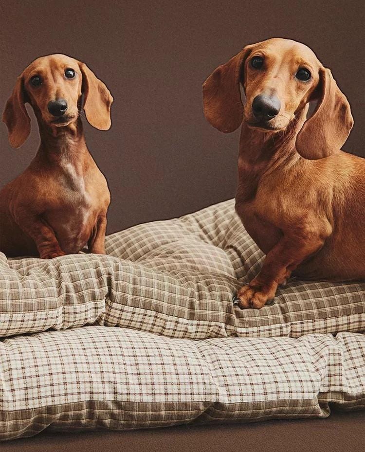 kerstcadeaus voor huisdieren zara home