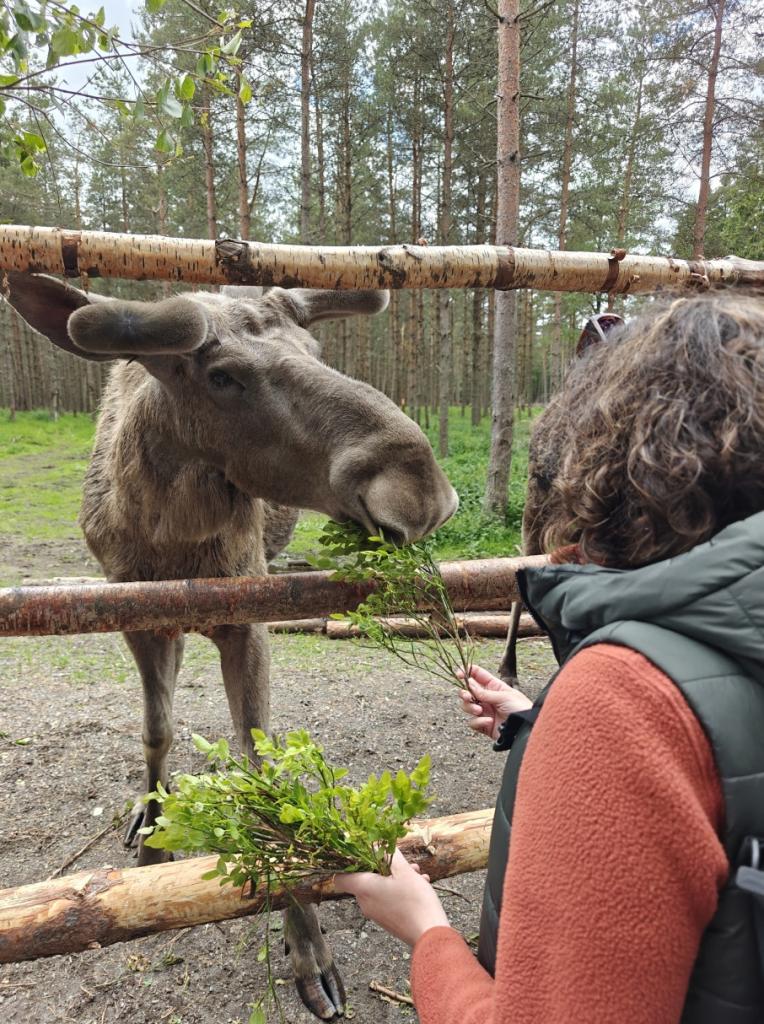 finland