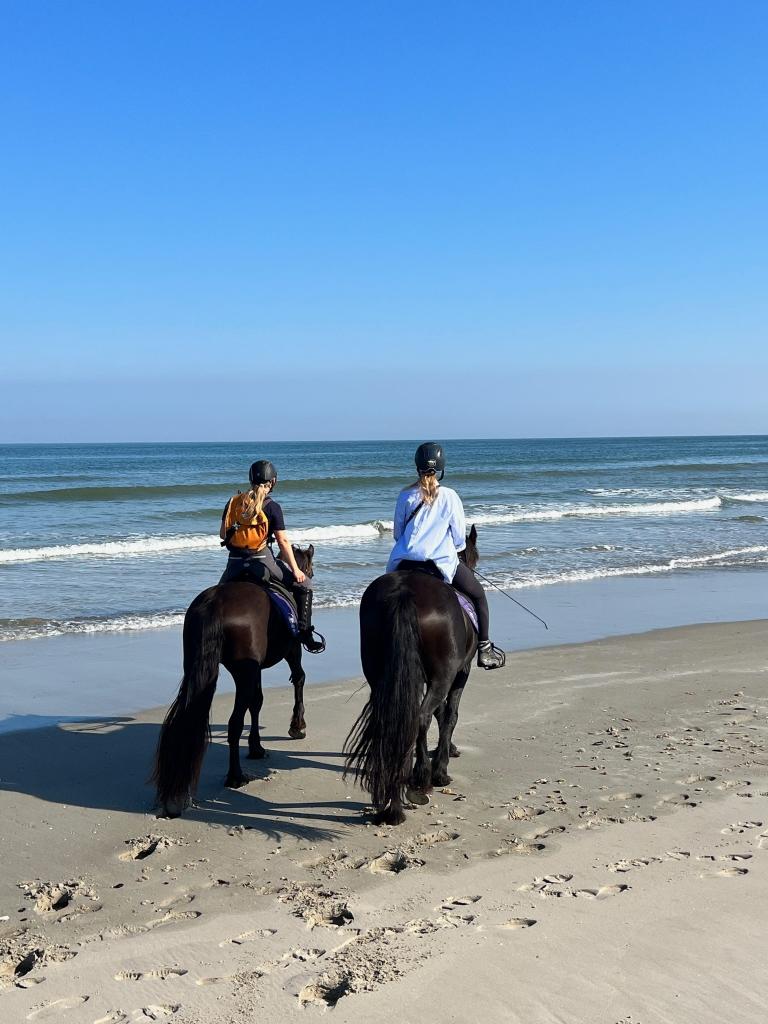 waddeneilanden