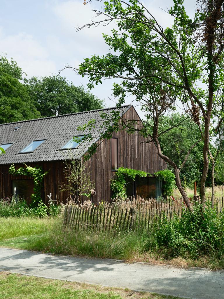 Cohousingproject Zwarte Arend 