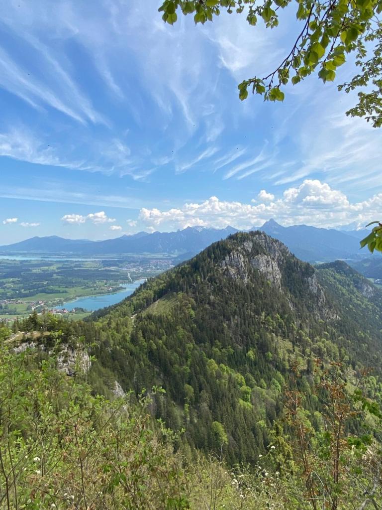 weisensee
