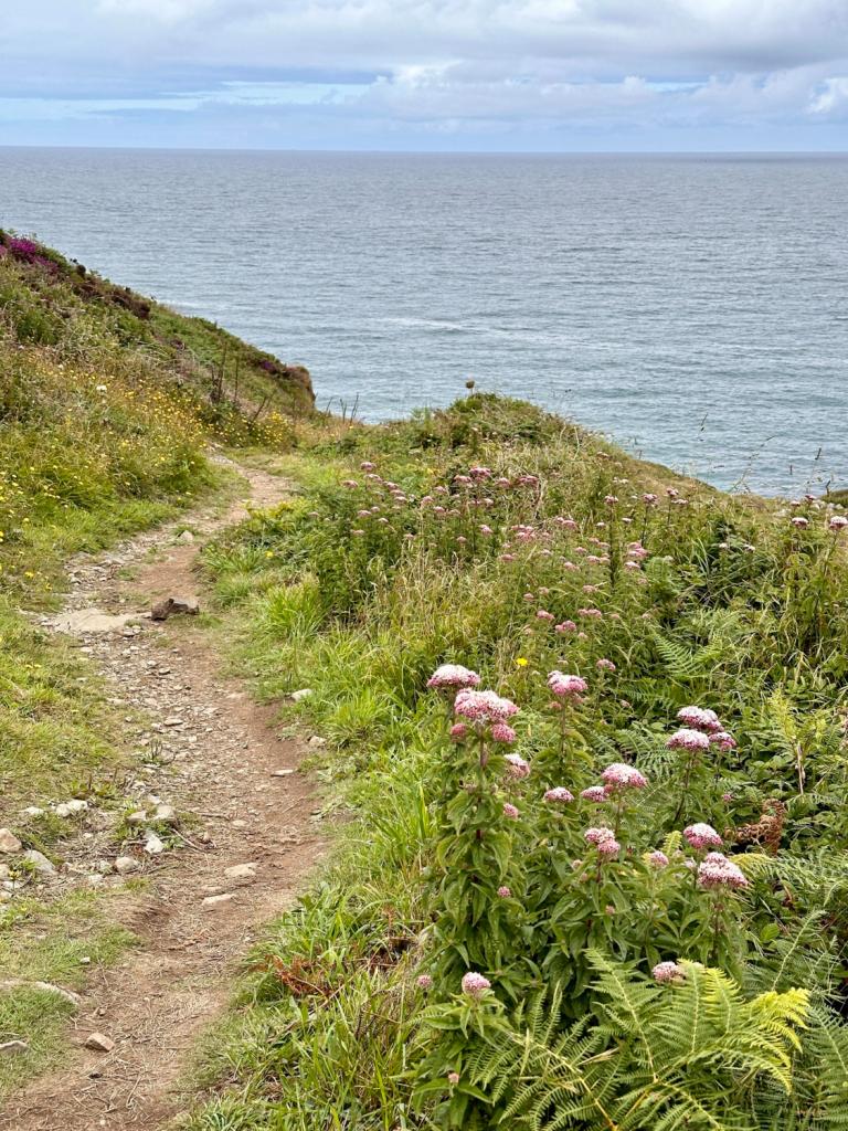 wandelpad cornwall