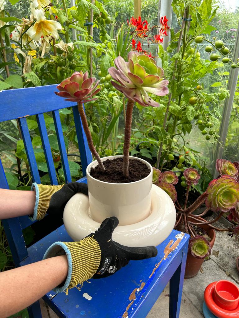 bloempot Gustaf Westman