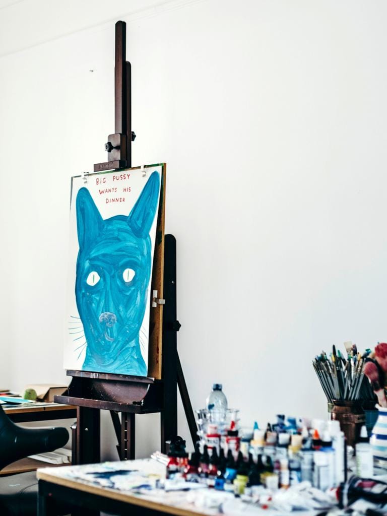 David Shrigley big pussy