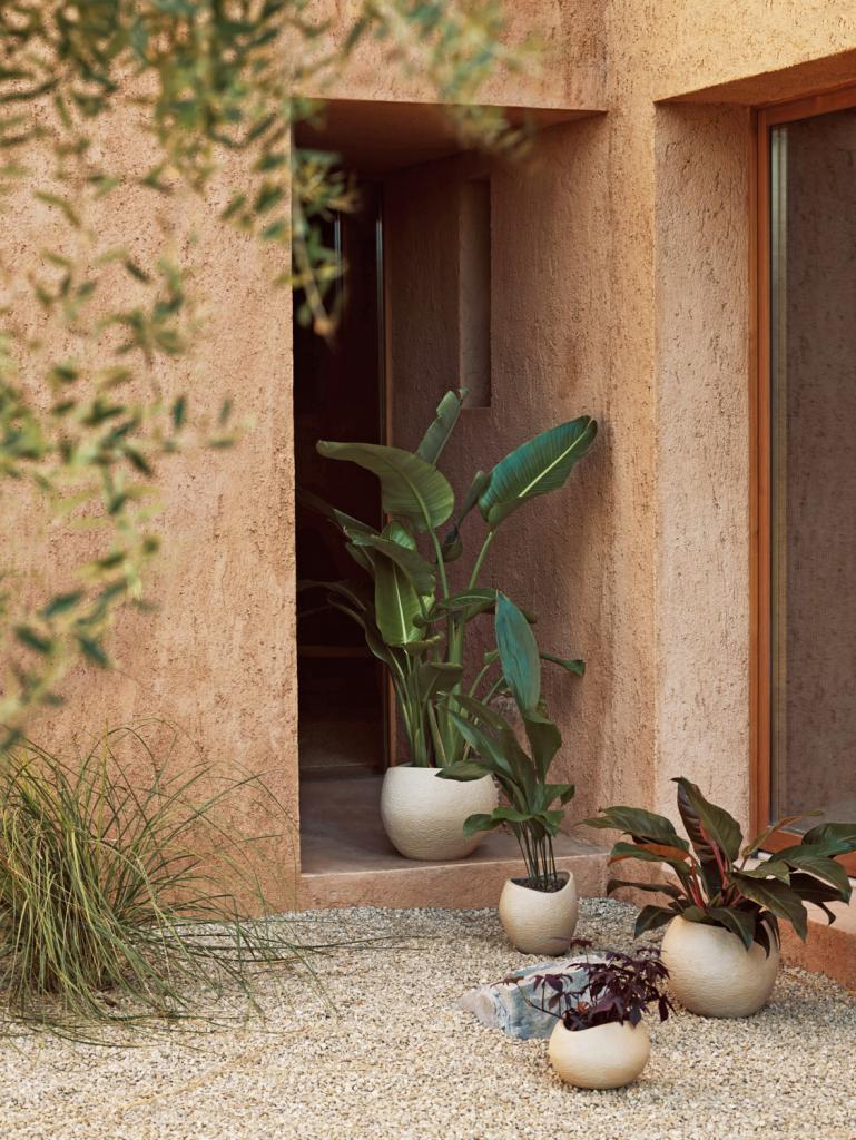 jardin