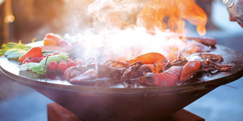 Ofyr-barbecue of vuurschaal