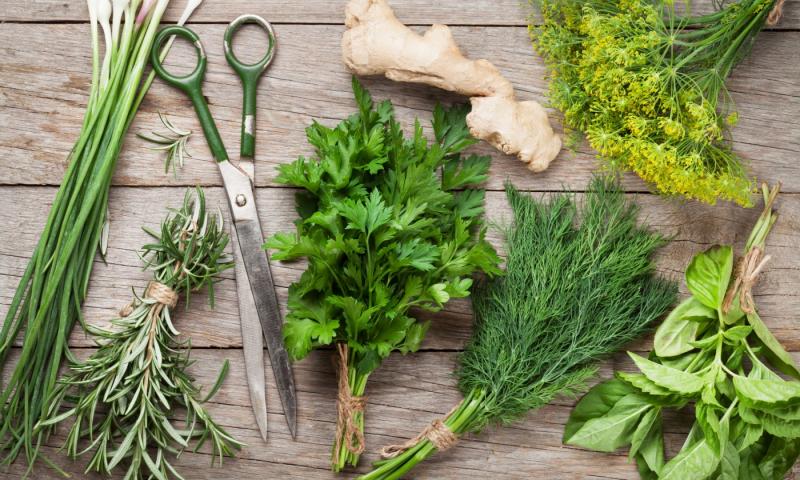 42663938 - fresh garden herbs on wooden table. top view