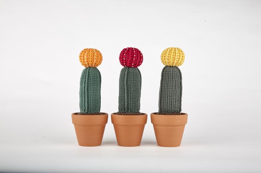 cactusjes haken