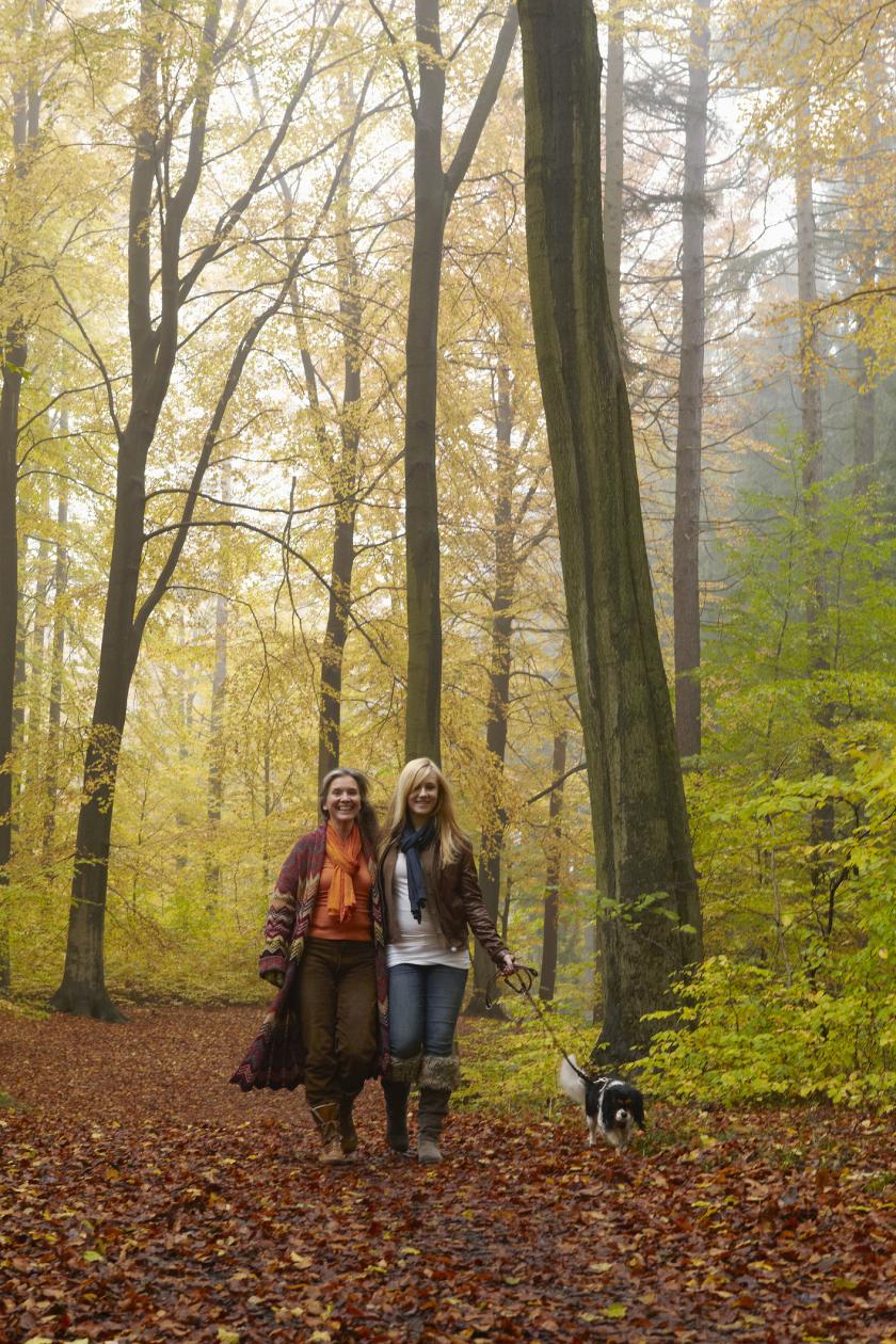 bossen van België