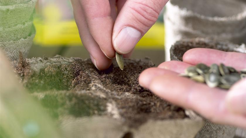 20 choses à faire au jardin en mai - Femmes d'Aujourd'hui