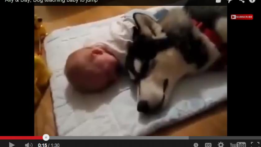 Video Mignonne Quand Bebe Pleure Le Chien Pleure Aussi Femmes D Aujourd Hui