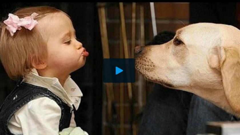 Video Trop Mignons Ces Bebes En Conversation Avec Leur Chien Femmes D Aujourd Hui