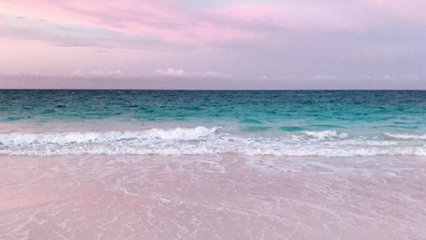 bahamas plage de sable rose
