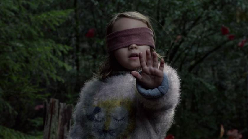 bird box challenge