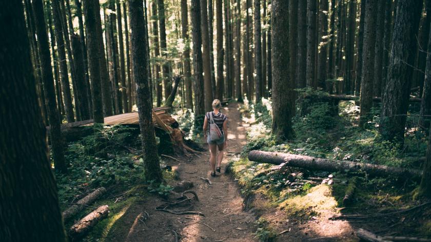 6 Chouettes Balades En Ardenne Femmes Daujourdhui - 