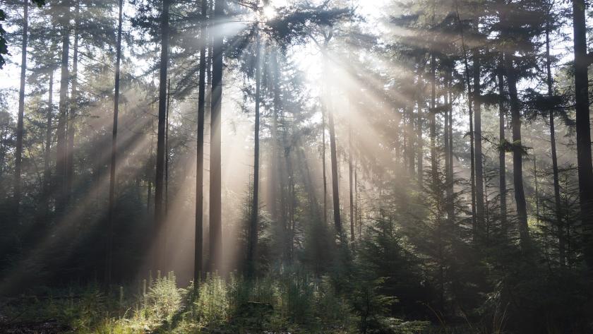 Meteo Le Soleil Est De Retour Pour Toute La Semaine Femmes D Aujourd Hui