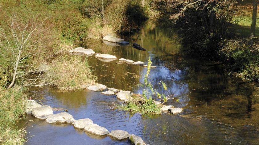 Balade En Ardenne La Haute Sûre Femmes Daujourdhui - 