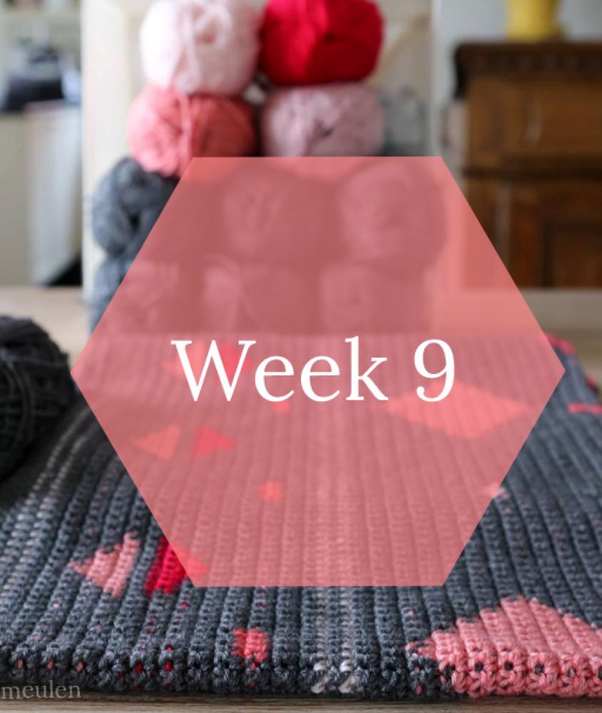 Dolly Plaid Week 9