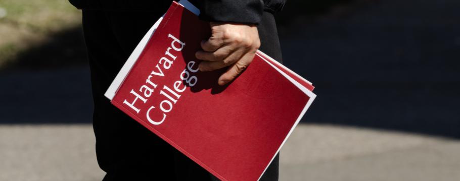 Belges Harvard