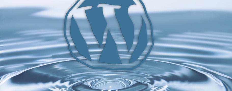 Wordpress lek