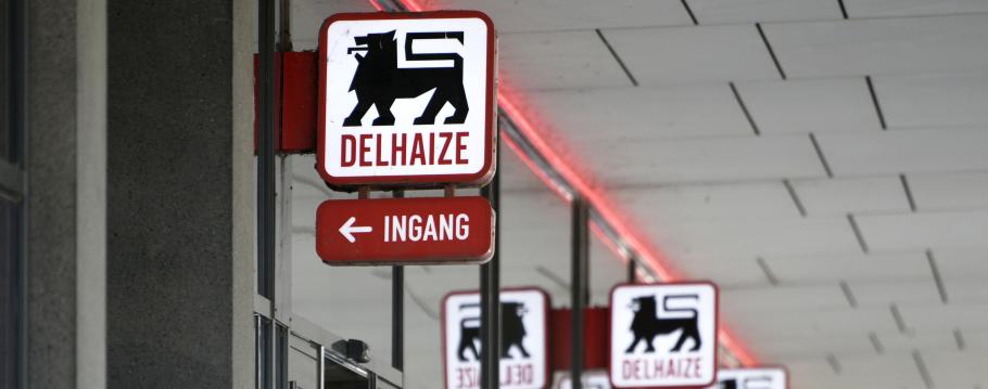 Delhaize logo