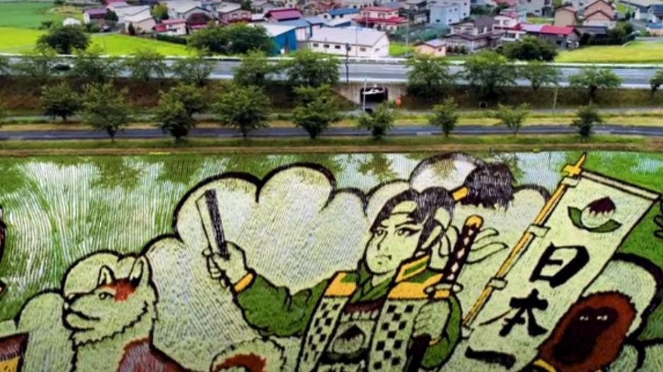 These Murals Were Grown from Rice