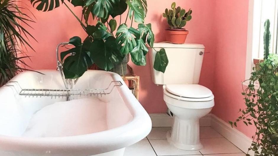 Quelles plantes pour végétaliser sa salle de bains?