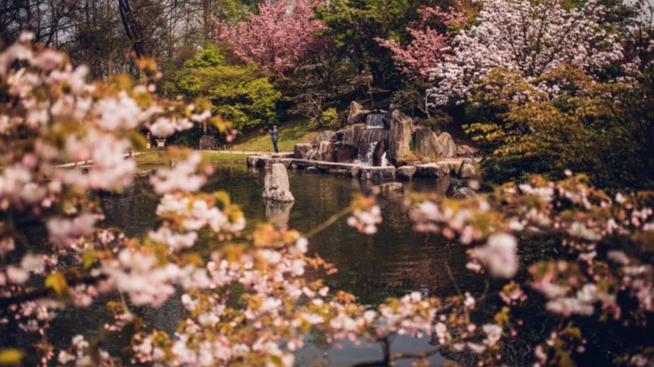 Le Jardin japonais à Hasselt