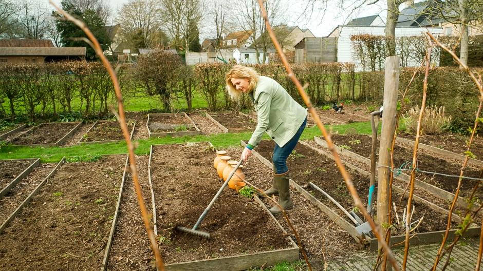 moestuin starten