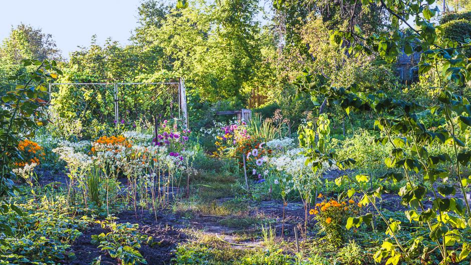 plagen tuin augustus