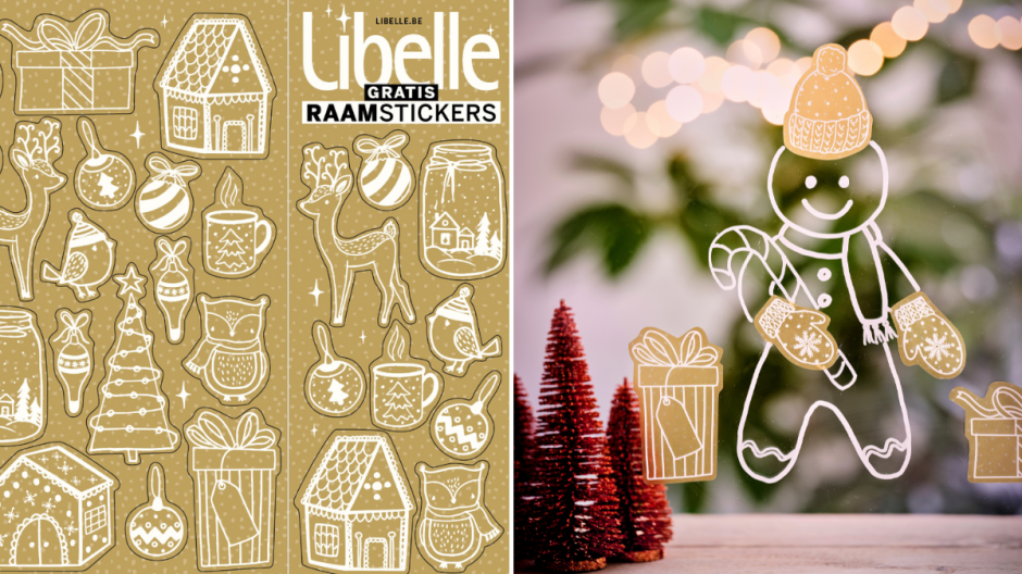 Libelle raamstickers