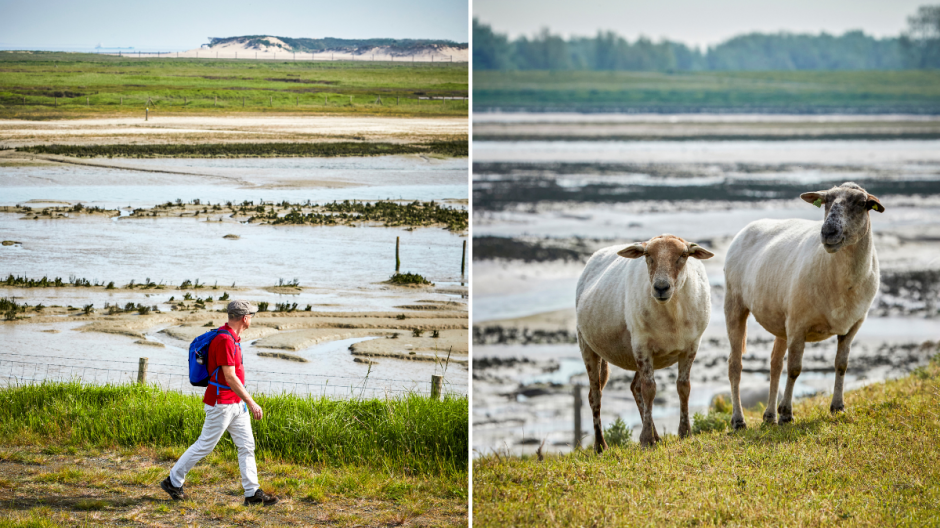 zwin wandelroute