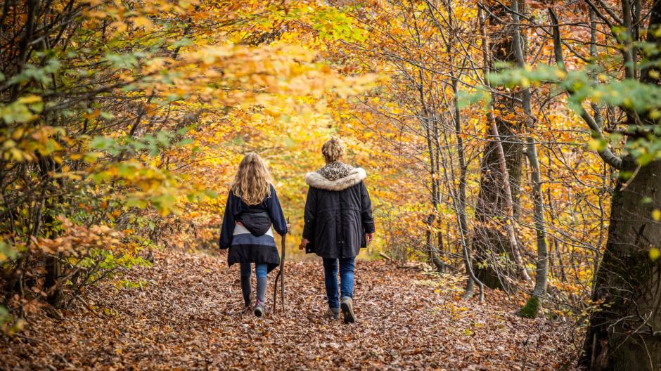 herfstwandelingen ardennen