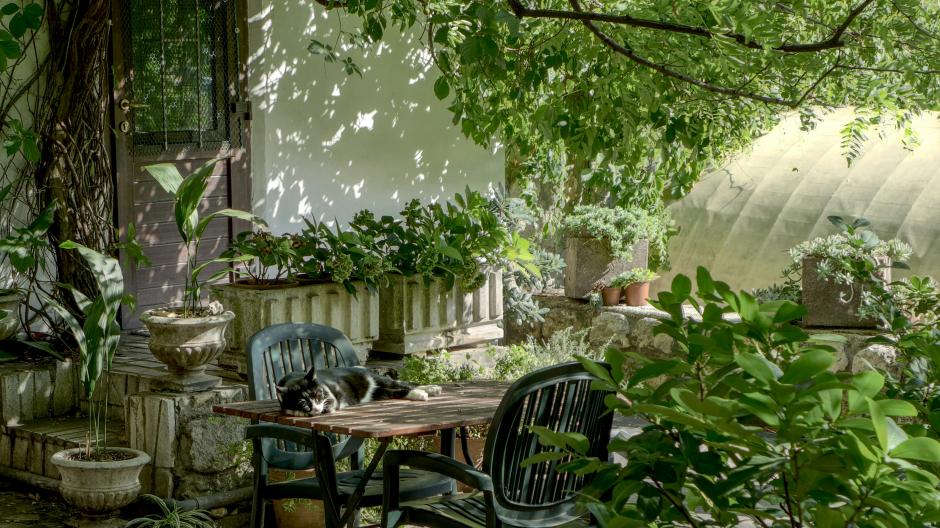 jardin désordre