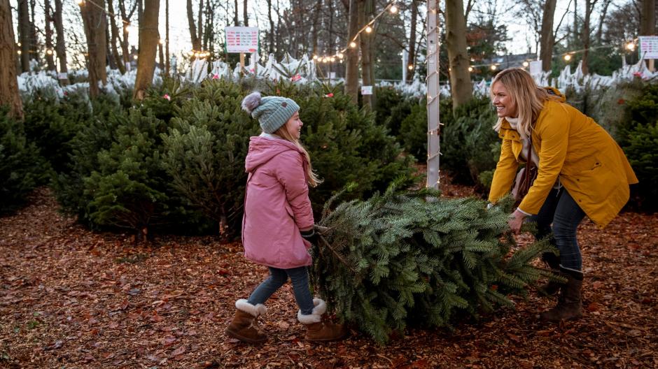 kerstboom kopen