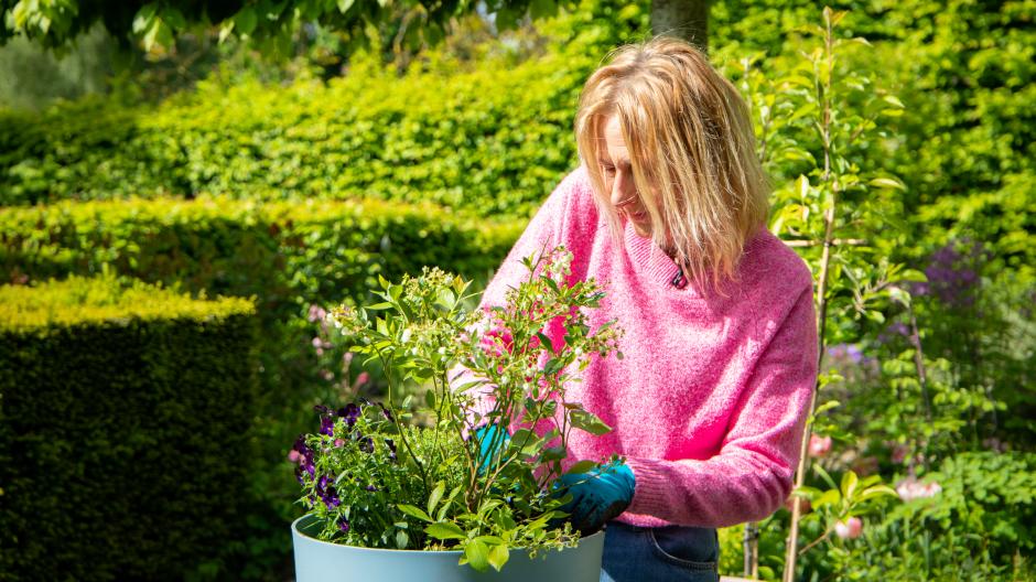 moestuin in potten