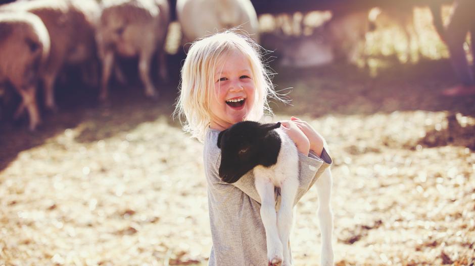 kinderboerderijen