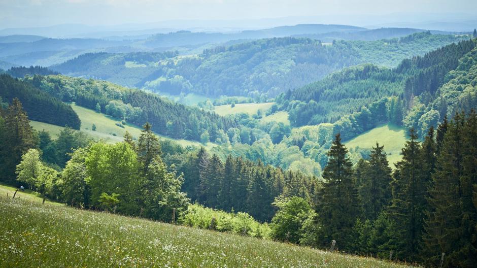 sauerland