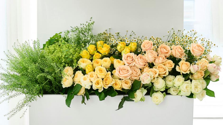 Rozen