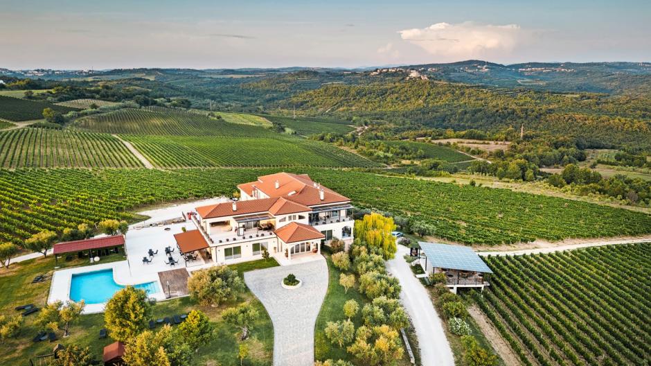 vignobles