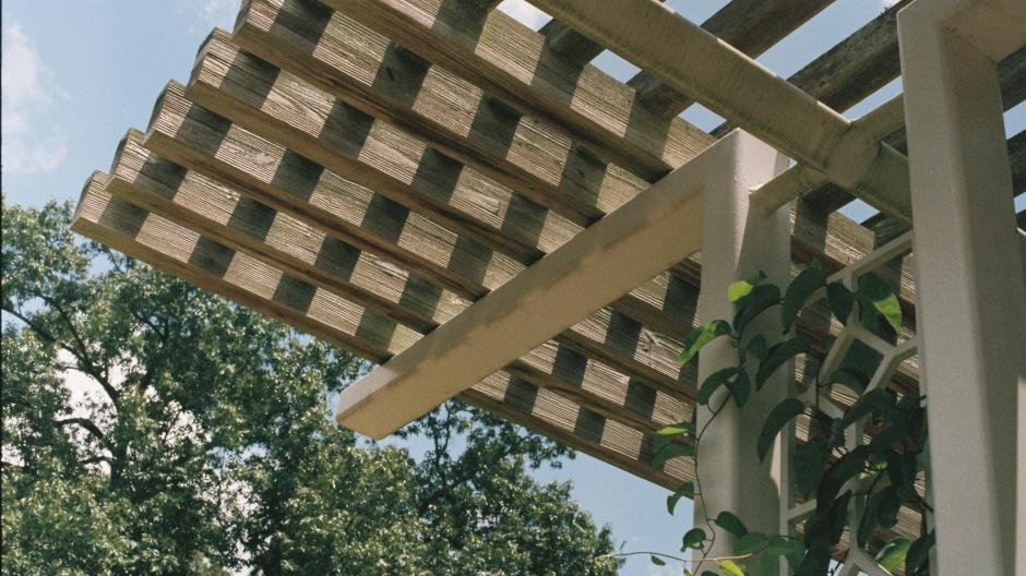 ombre jardin