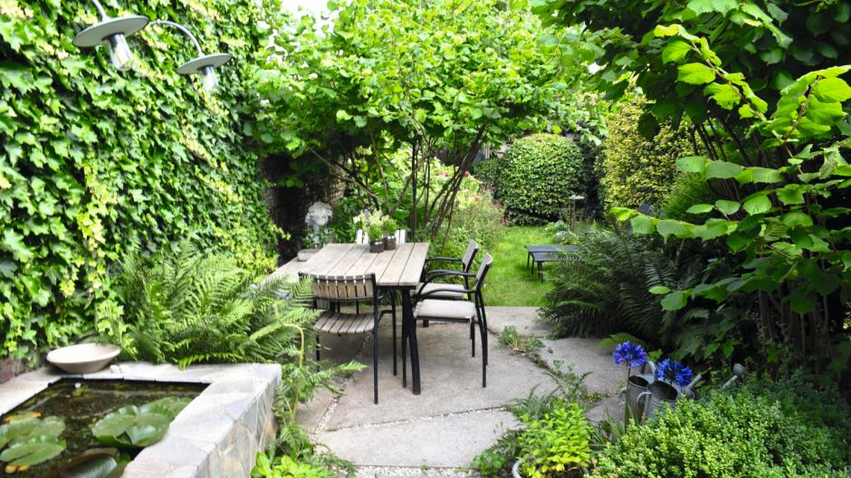 jardin-éponge