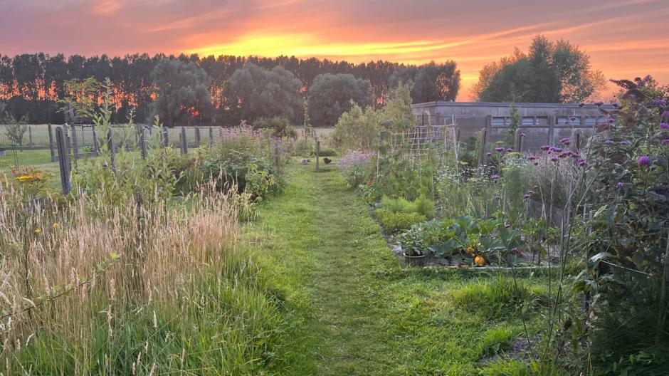 tuininspiratie